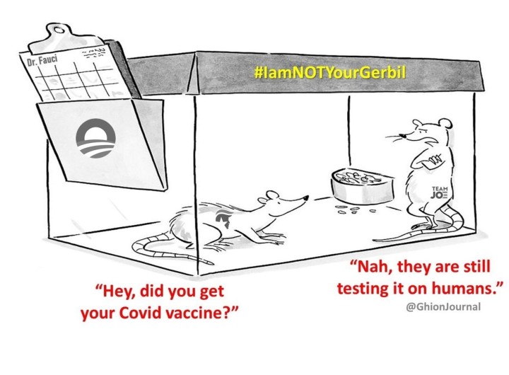 i am not your gerbil