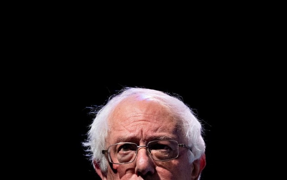 shrunken Bernie Sanders