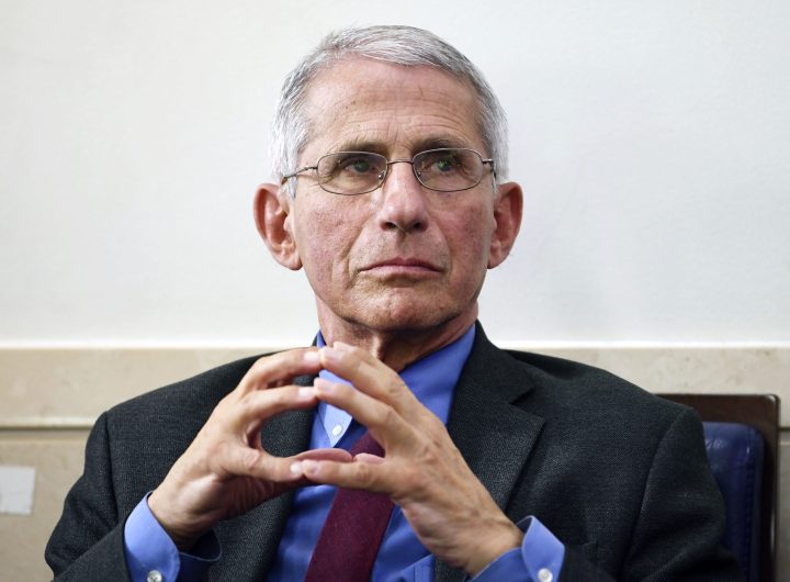 Talented Dr. Fauci