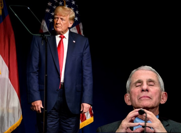 Clown trump fascist fauci