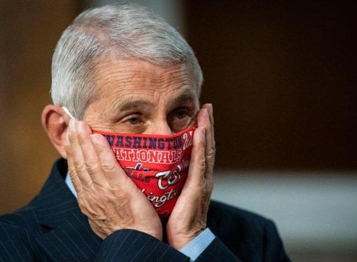 shocking fauci