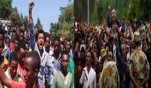 Almariam-Ethopia-Article-May-8-2