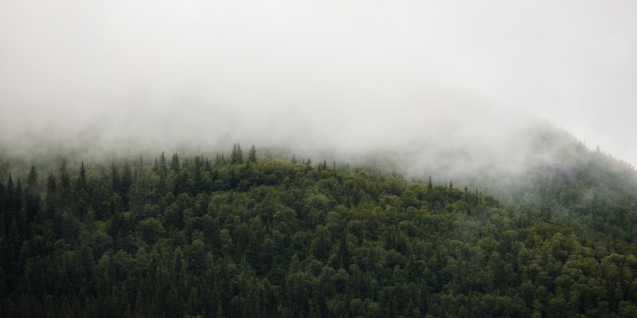 sustainably-future-1280x640