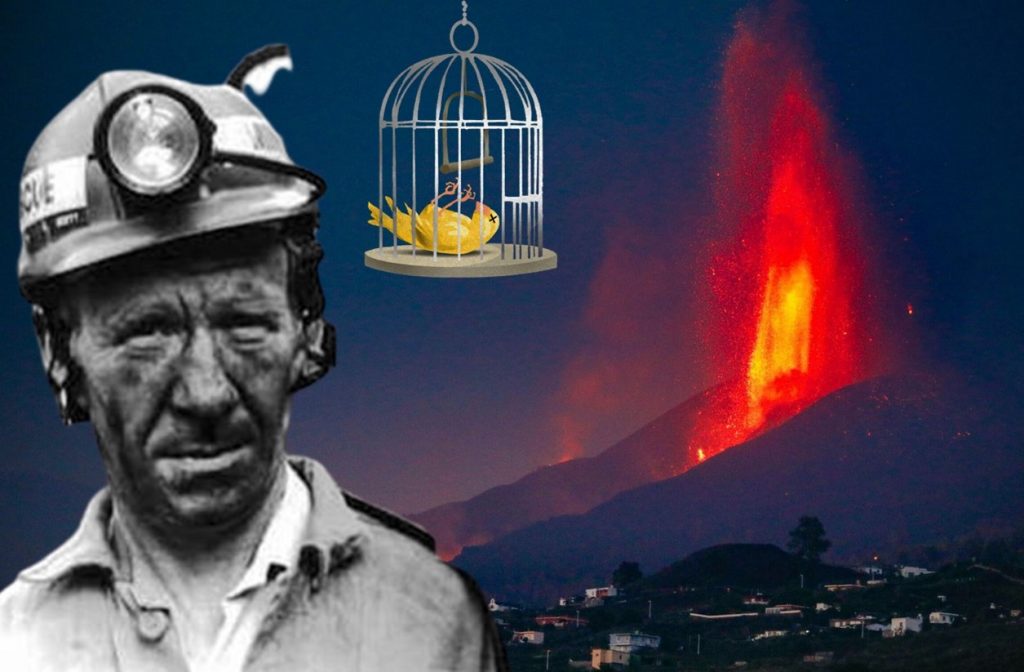 Canary Islands Canary Coal mine