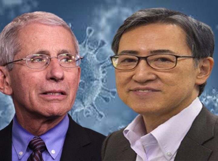 Fauci gain of function