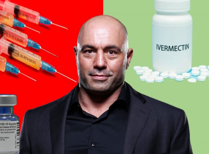 Joe Rogan Ivermectin Debate