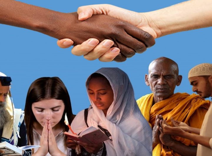 የቪዲዮ ማጫወቻ